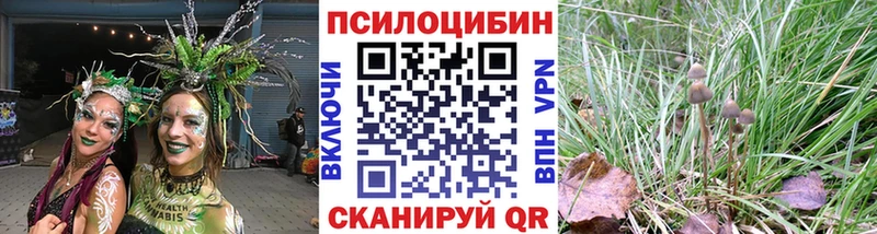 гидра сайт Ветлуга Псилоцибиновые грибы мицелий